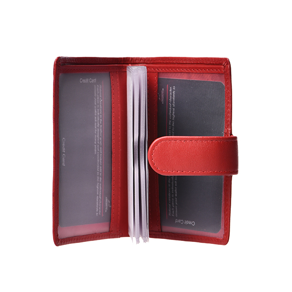 MASTER Credit card holder 1