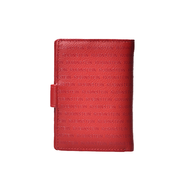 MASTER Credit card holder 2