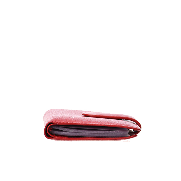 MASTER Credit card holder 3